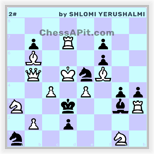 Creation_05_experienced-he-doubled_ChessAPit