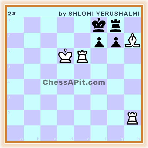 Creation_19_4x4_ChessAPit